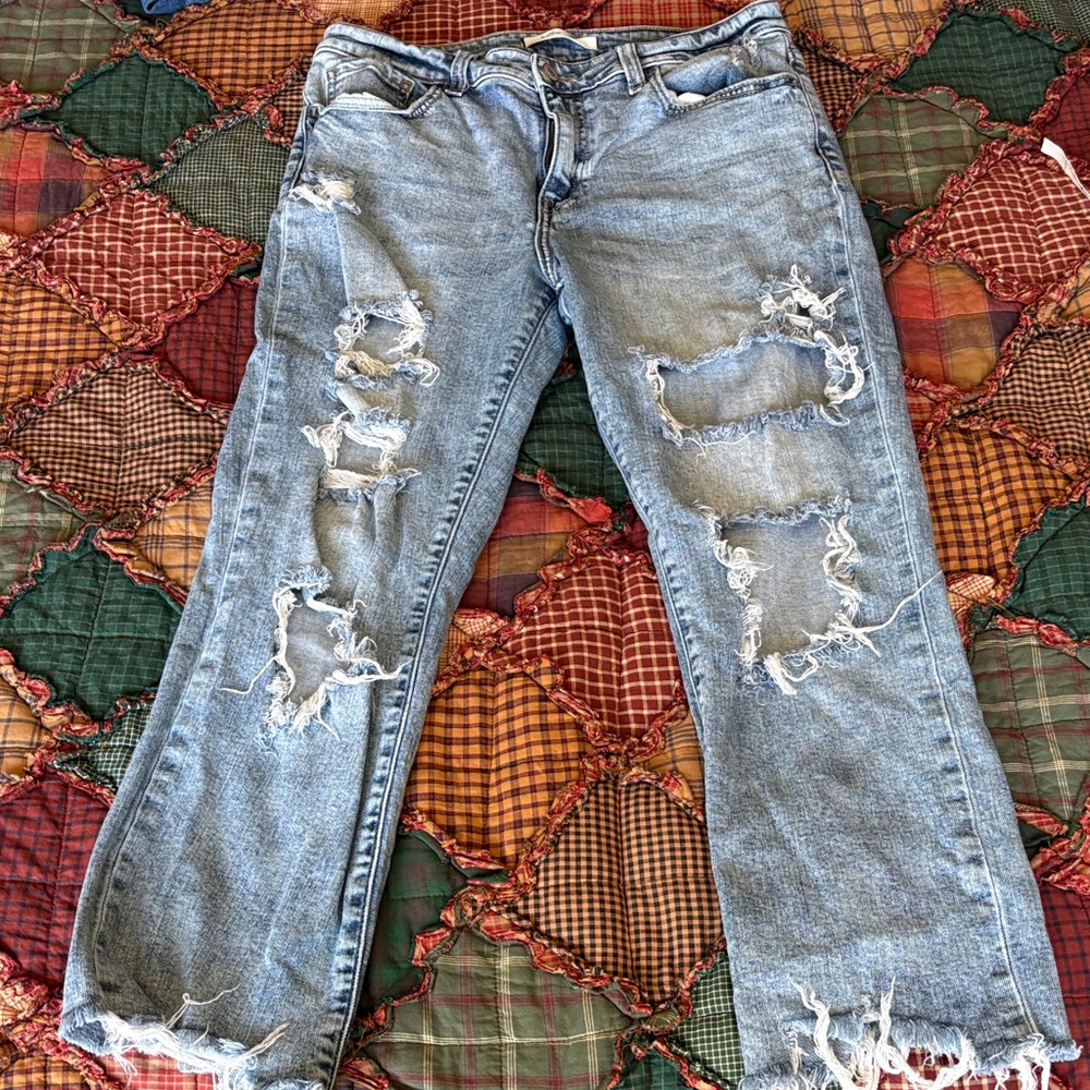 Buckle Willow&Root Light Blue Ripped Women's Jeans - Casual Distressed Denim 30